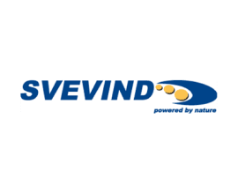 Айнұр Тұмышева, SVEVIND Energy GmbH компаниясының Қазақстандағы аймақтық өкілі