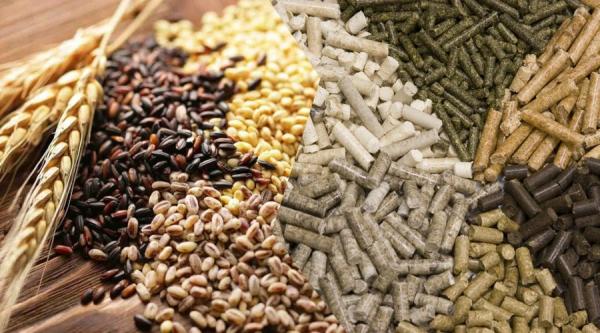 Compound Feed