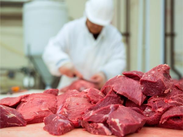 Расширение производства по переработке говядины, мяса птицы и конины