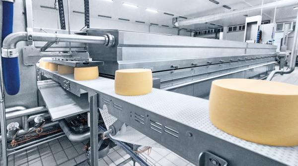 Строительство завода по производству сырной продукции и продуктов для HoReCa