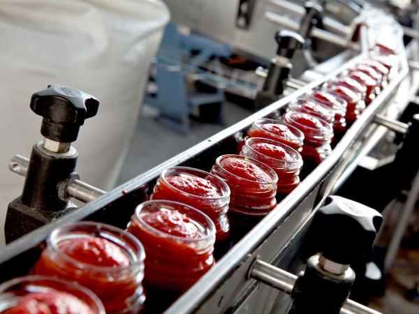 Строительство завода полного цикла по производству томатной пасты