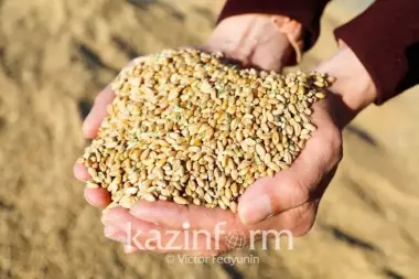 Kazakhstan’s gross agricultural product reached KZT2.1trln in H1 2023