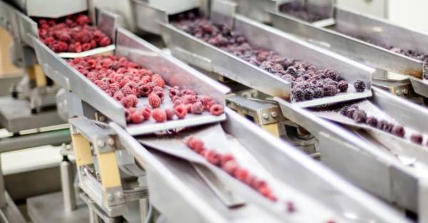 Жемістерді қайта өңдеу және консервілеу өндірісін құру